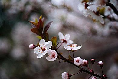 《巫师3》总监认为AI难取代演员：无法表现人类情感